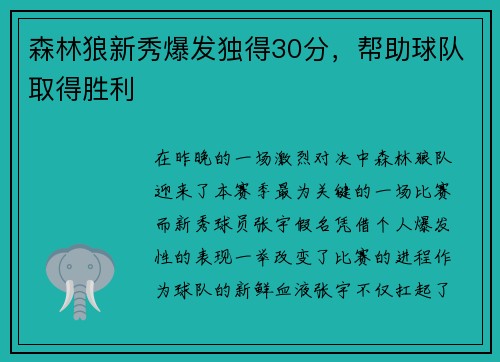 森林狼新秀爆发独得30分，帮助球队取得胜利